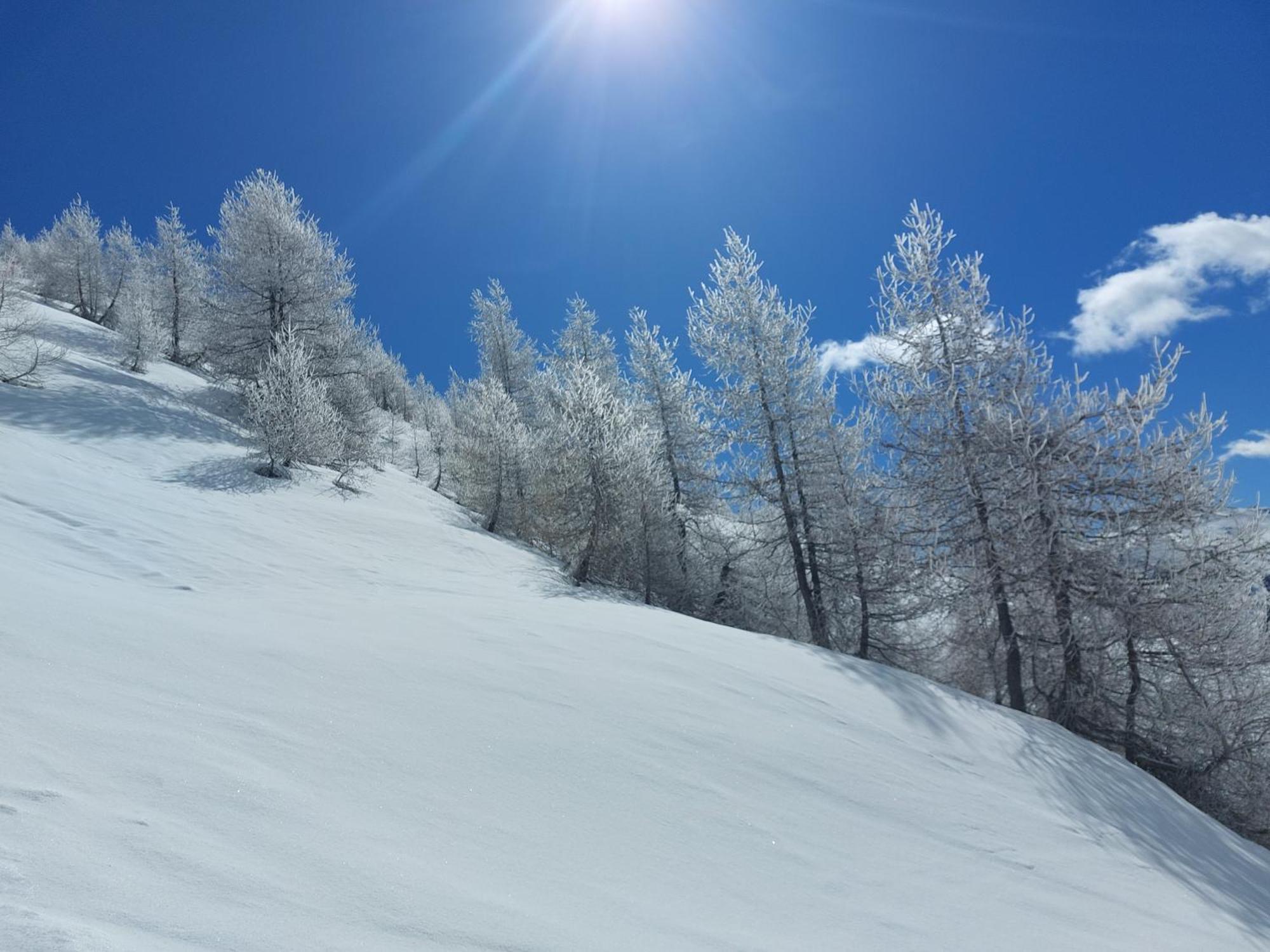 Le Du Queyras Avec Vue Sur La Montagne